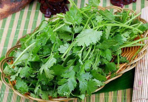 香菜不能和什么一起吃？香菜的饮食禁忌