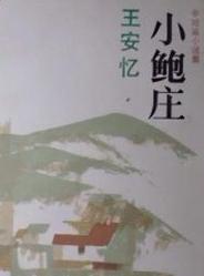 小鲍庄小说在线阅读